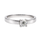 Anillo Raiz